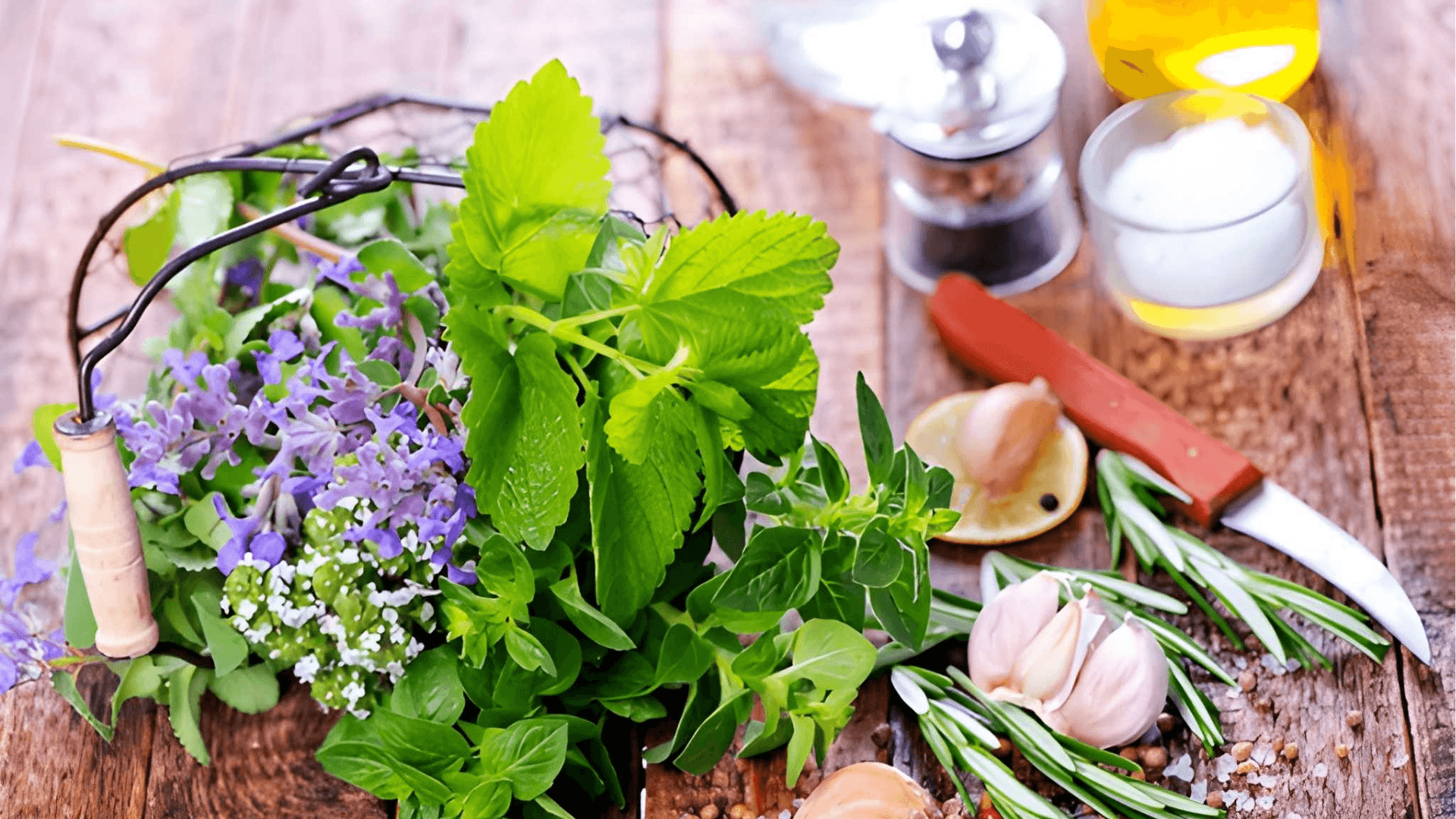 rische Heilkräuter Salbei Rosmarin Petersilie Koriander Minze und Basilikum auf einem Holztisch als natürliche Hausmittel