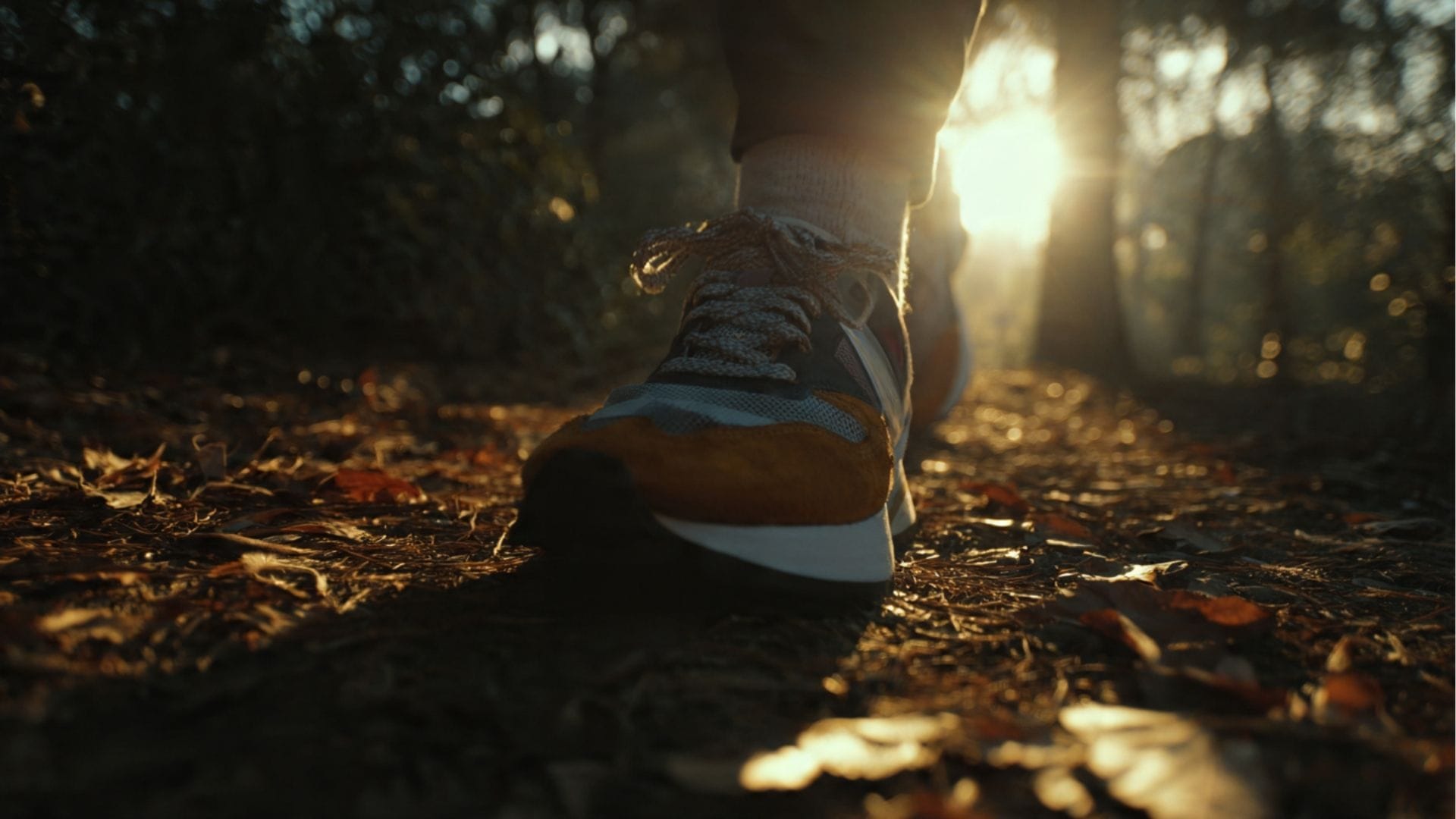 Spazieren im Wald bei Sonnenuntergang – Schritt für Schritt zum Wunschgewicht