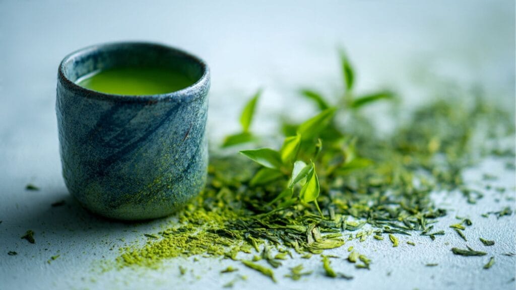 Grüner Tee in Tasse – EGCG zur Fettverbrennung