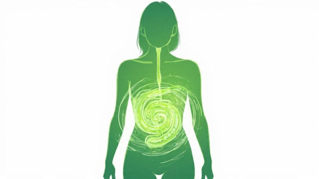 Illustration der Verdauung: Wie Menthol im Pfefferminztee den Magen beruhigt und Krämpfe löst